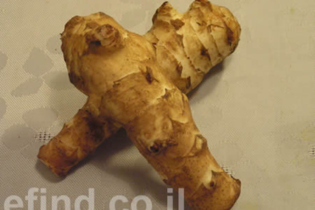 ארטישוק ירושלמי