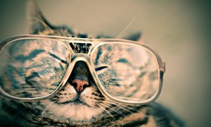 מה זה ניתוח מתיחת עפעפיים? ואיך מבתעים אותו?