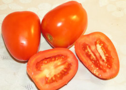 עגבנית תמר